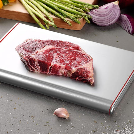 THAW THAT Professional Defrosting Tray