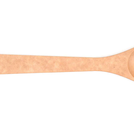 EPICUREAN Large Spoon