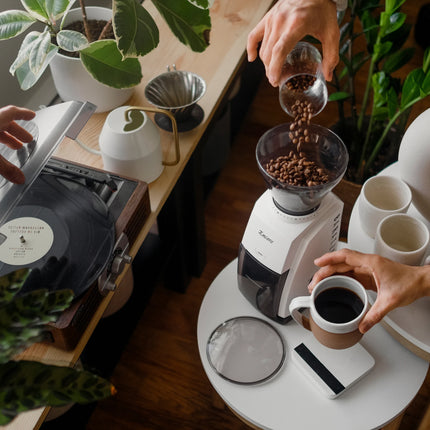 BARATZA Encore Coffee Grinder