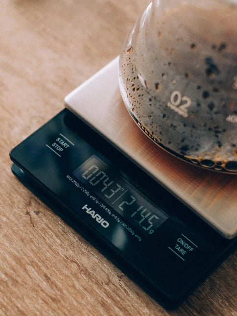 HARIO V60 Metal Drip Scale and Timer