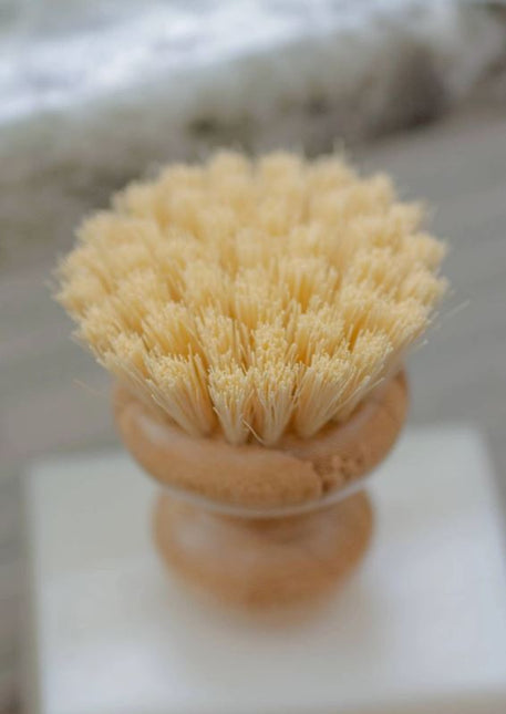 2.5" Dish Scrub Brush