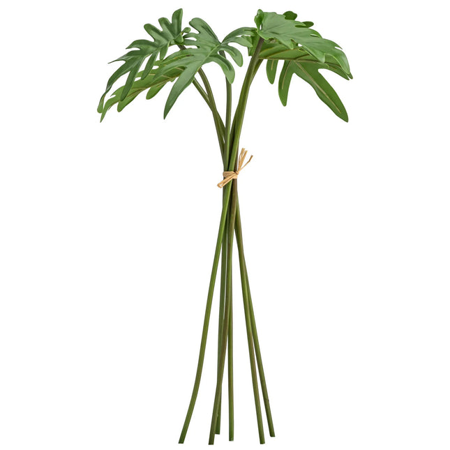 Philodendron Stem, By the Single Stem