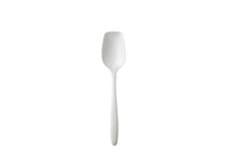 Small Scoop Spoon 7